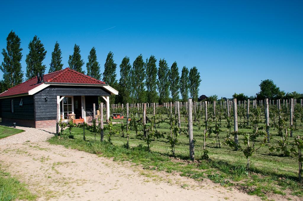 Park Nieuwgrapendaal Hotel Terwolde Eksteriør billede